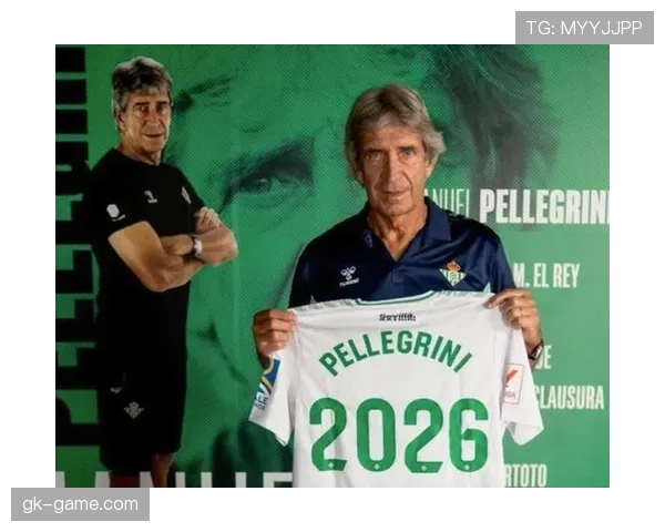 佩莱格里尼职业轨迹